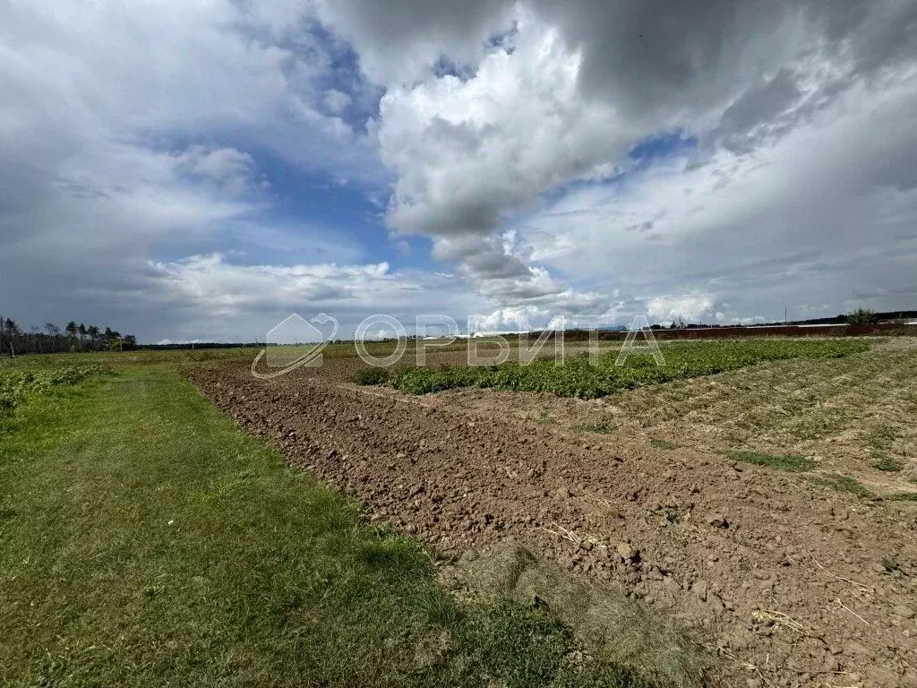 Участок в Тюменская область, Тюменский район, с. Успенка ул. ... - Фото 2