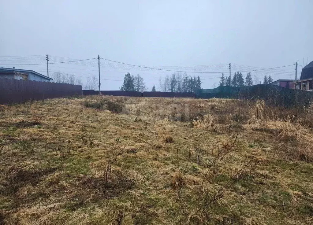 Участок в Ленинградская область, Выборгский район, Рощинское городское ... - Фото 1