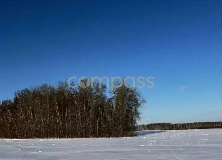 Участок в Тюменская область, Тюменский район, с. Горьковка Сибирская ... - Фото 1