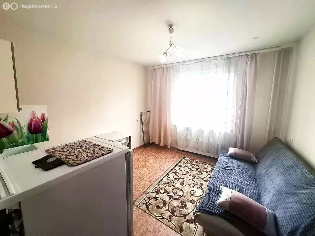 Квартира-студия: Нижний Новгород, Бурнаковская улица, 101 (17 м) - Фото 2