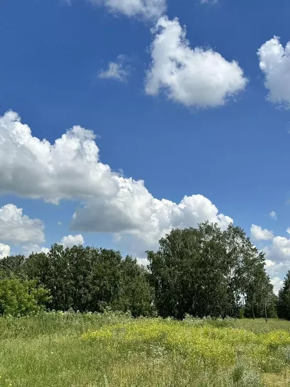 Участок в Новосибирская область, Новосибирский район, Кубовинский ... - Фото 0