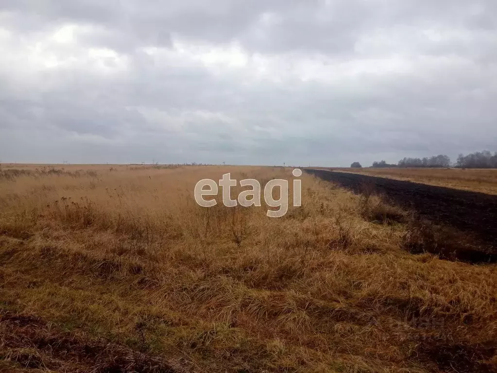 Участок в Брянская область, Жирятинское с/пос, с. Савлуково ул. ... - Фото 1
