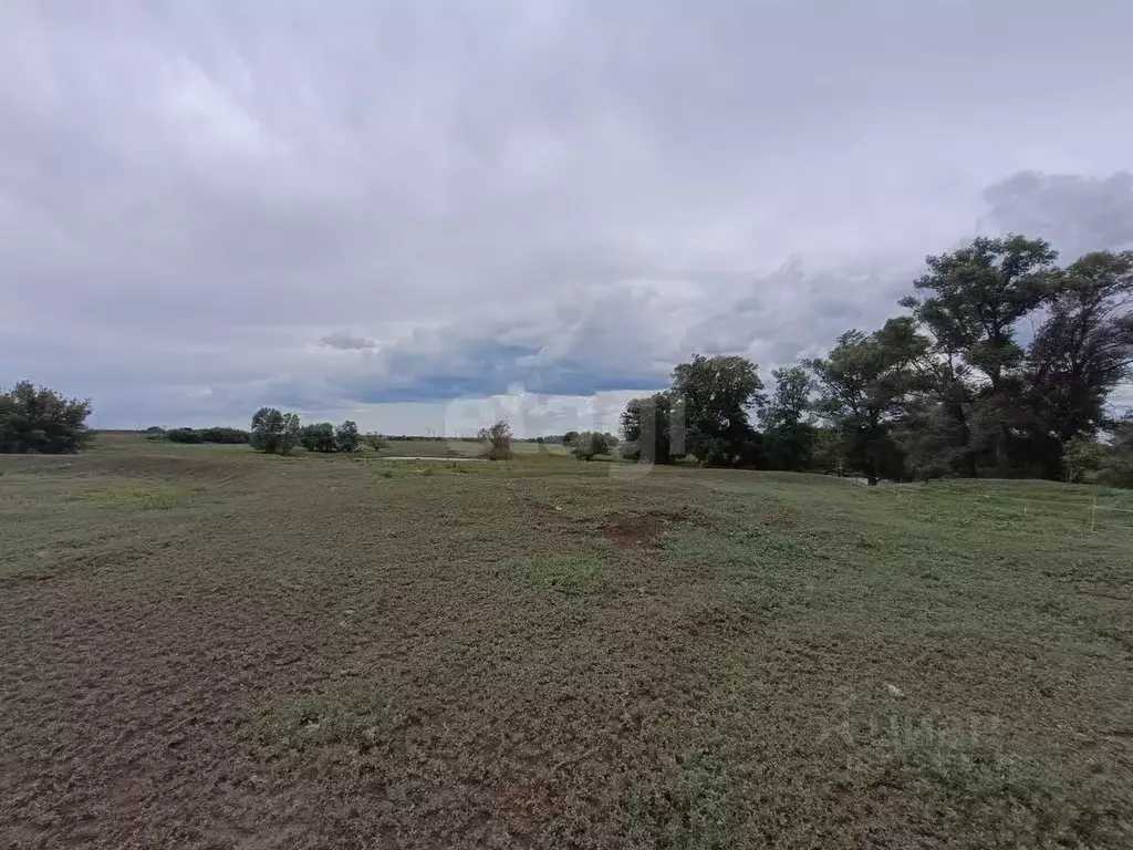 Участок в Оренбургская область, Оренбург городской округ, пос. ... - Фото 1