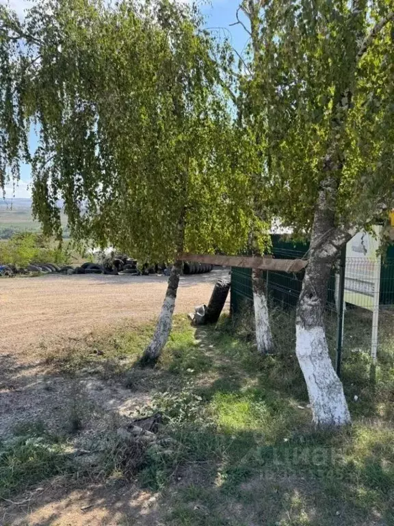 Участок в Ставропольский край, Предгорный муниципальный округ, пос. ... - Фото 1