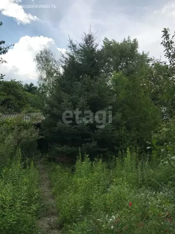 Участок в Семилукский район, Девицкое сельское поселение, СНТ Высокий ... - Фото 0