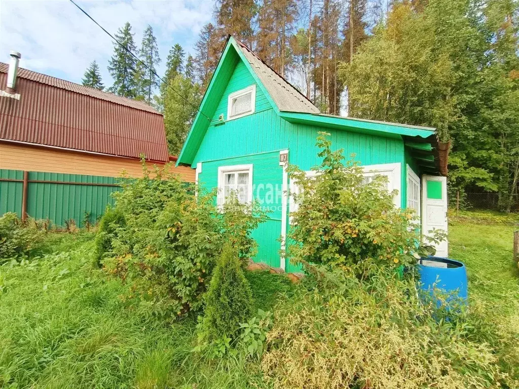 Дом в Ленинградская область, Выборг туп. 9-й Лиловый (36 м) - Фото 0