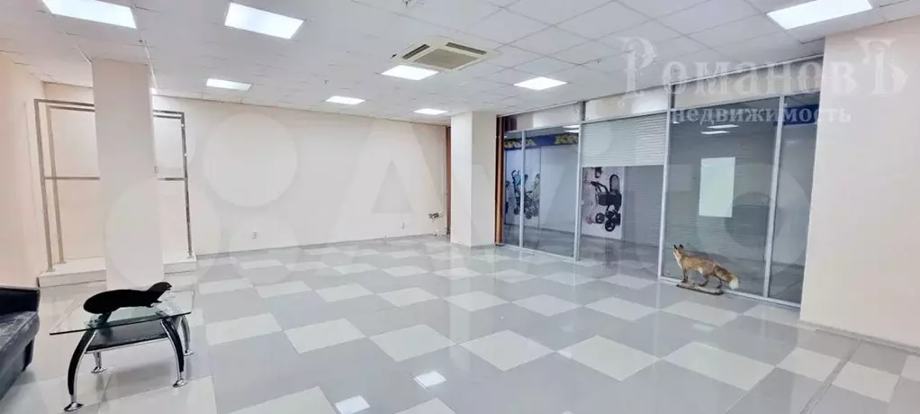 Сдам помещение свободного назначения, 145 м - Фото 1