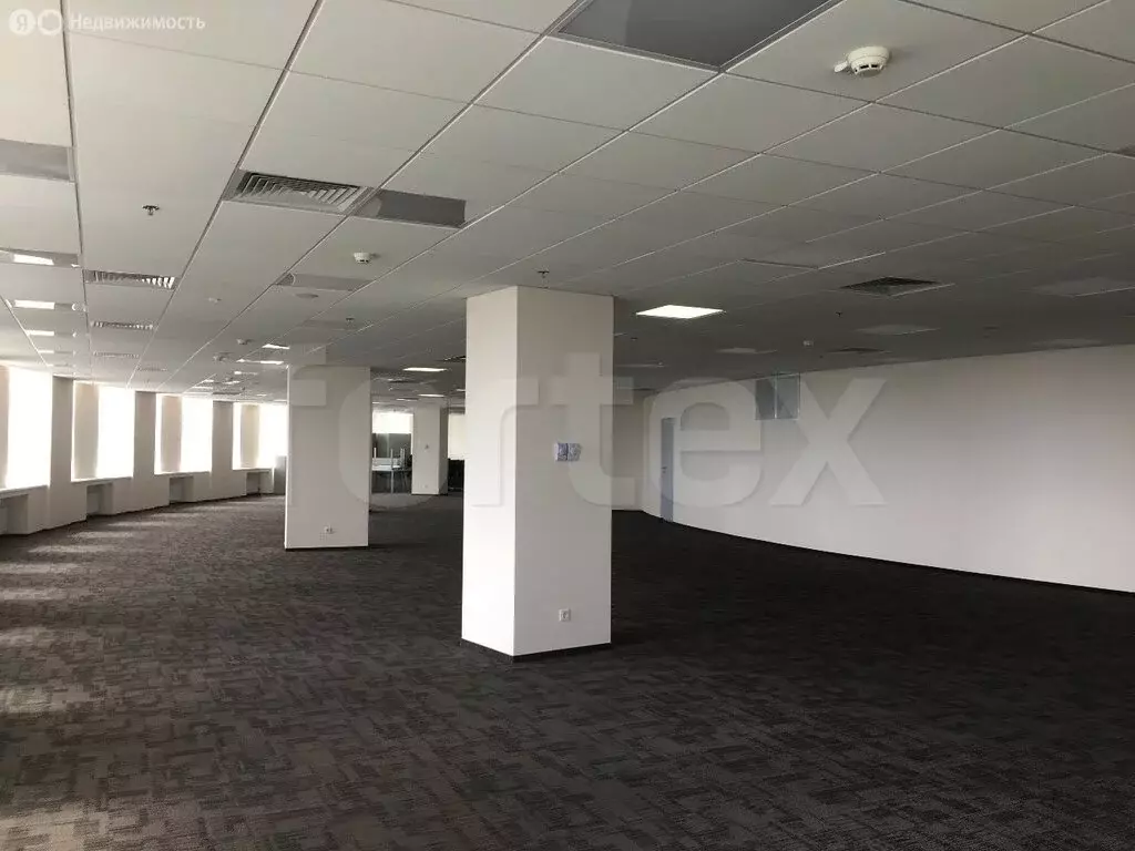 Офис (2533 м) - Фото 2
