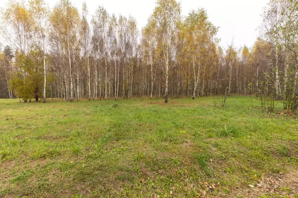 Участок в Московская область, Можайский муниципальный округ, дачное ... - Фото 1
