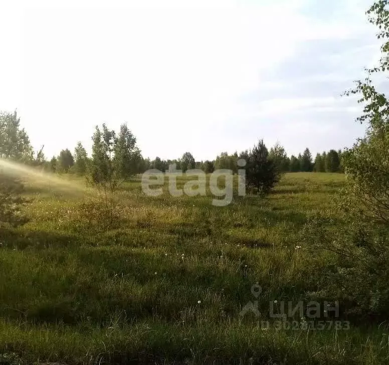 Участок в Костромская область, Нерехта ул. Чайковского (9.0 сот.) - Фото 1