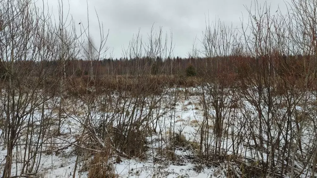 Участок в Пермский край, Пермский муниципальный округ, НП Луговское-3 ... - Фото 2