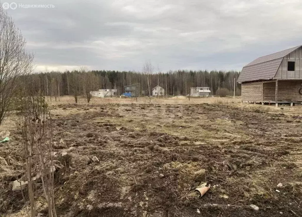 Участок в Колтушское городское поселение, коттеджный посёлок Соржа ... - Фото 1