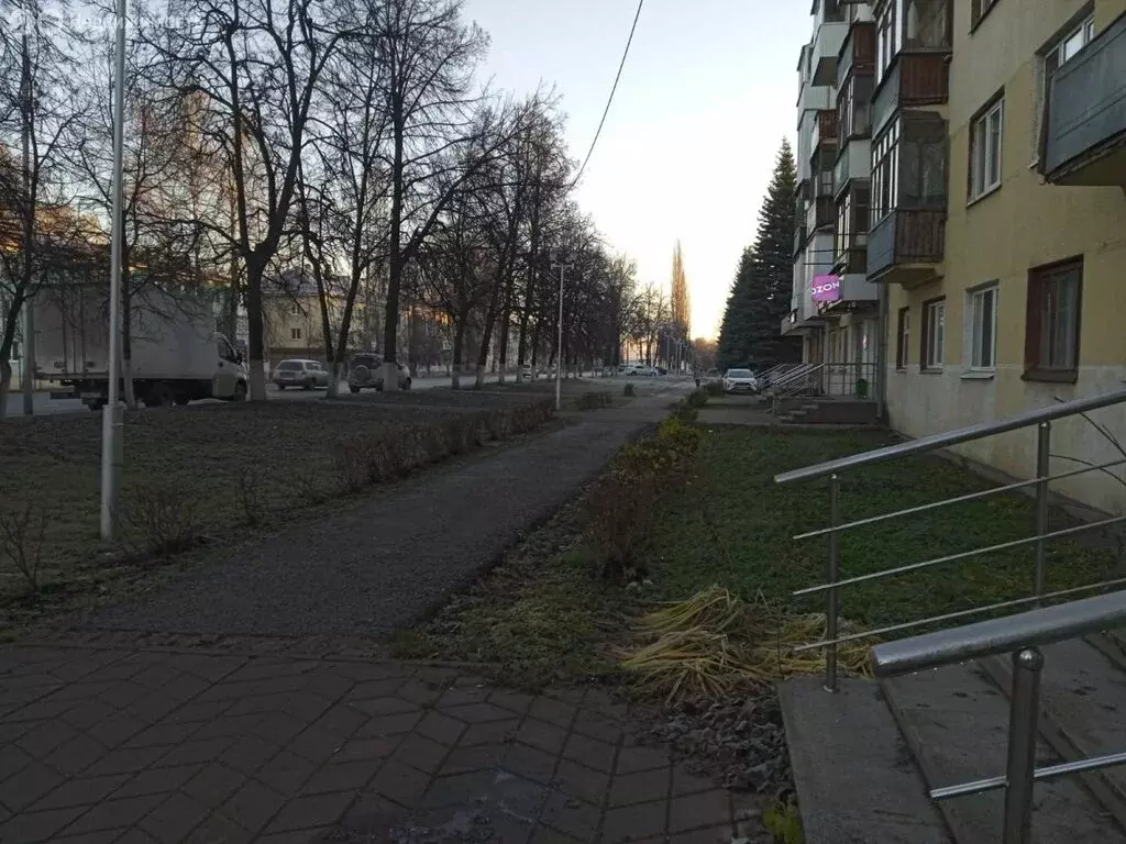 Помещение свободного назначения (30 м) - Фото 2