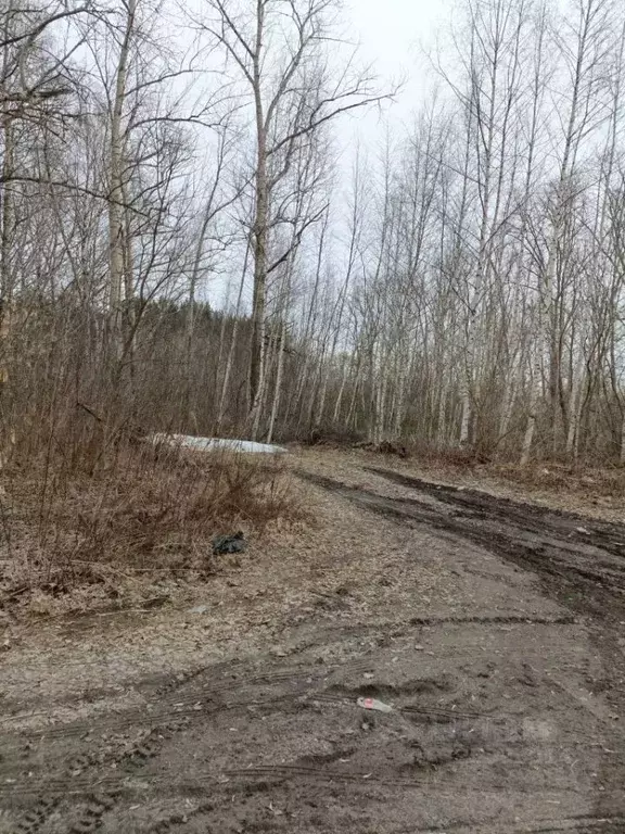 Участок в Нижегородская область, Нижний Новгород пос. Гнилицы, ул. ... - Фото 1