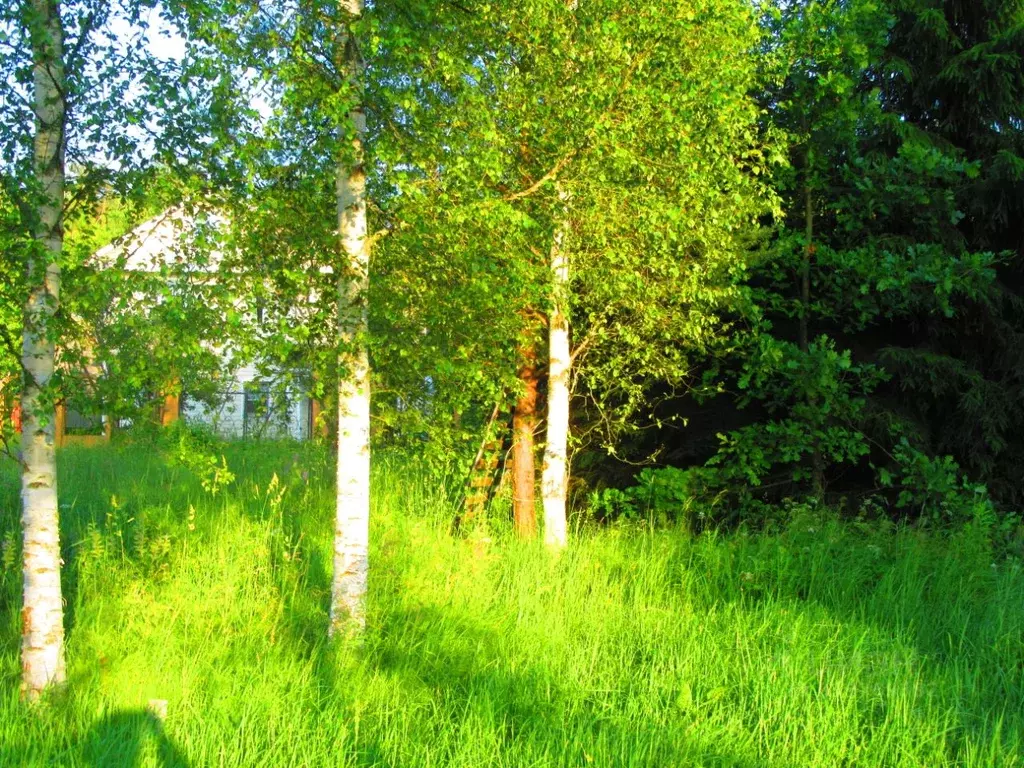 Участок в Ленинградская область, Кировское городское поселение, ... - Фото 0