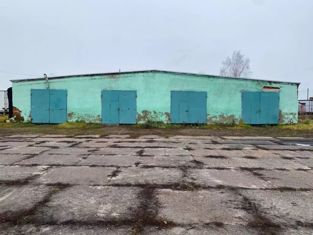 Участок в Московская область, Шатура муниципальный округ, с. Шарапово ... - Фото 2