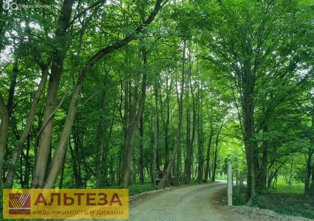 Участок в Калининградская область, Гурьевский муниципальный округ, ... - Фото 1