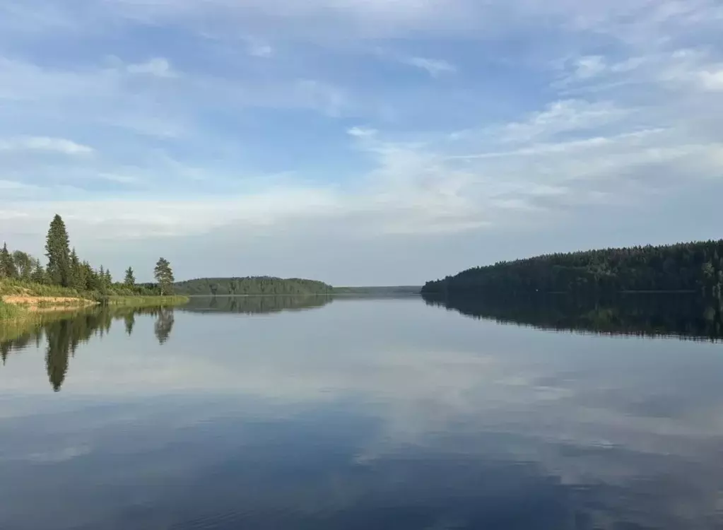 Участок в Ленинградская область, Выборгский район, Полянское с/пос, ... - Фото 2