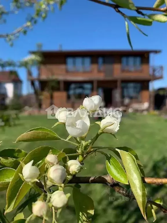Дом в Ленинградская область, Всеволожский район, Колтушское городское ... - Фото 1