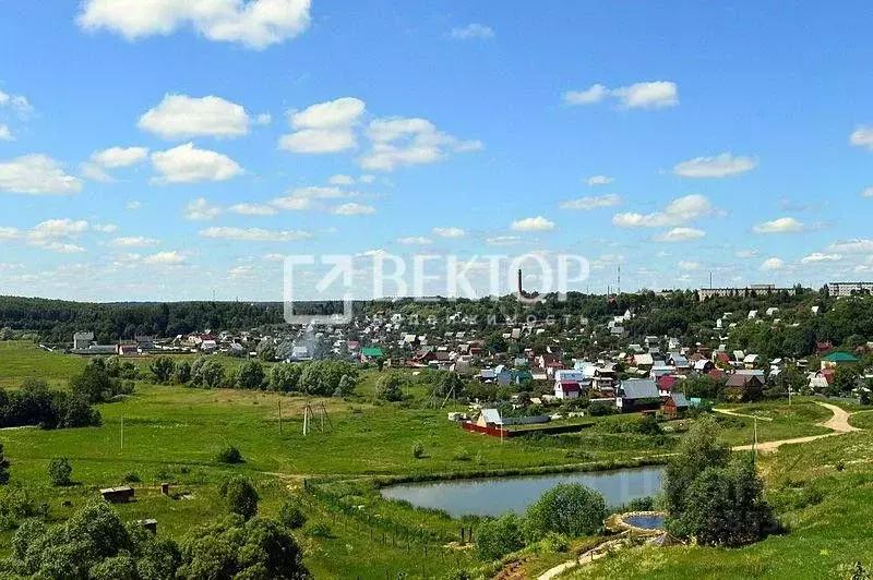 Участок в Костромская область, Красносельский район, Прискоковское ... - Фото 0