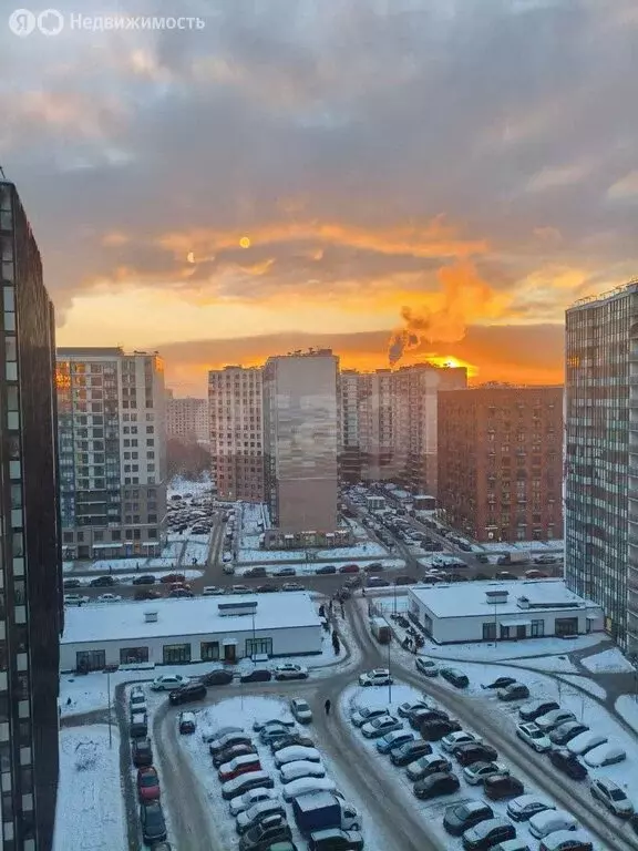 Квартира-студия: Кудрово, Пражская улица, 4 (20 м) - Фото 2