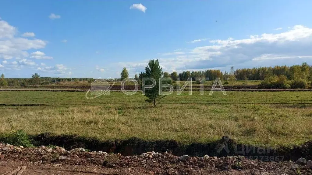 Участок в Тюменская область, Нижнетавдинский район, с. Тюнево  (7.03 ... - Фото 2