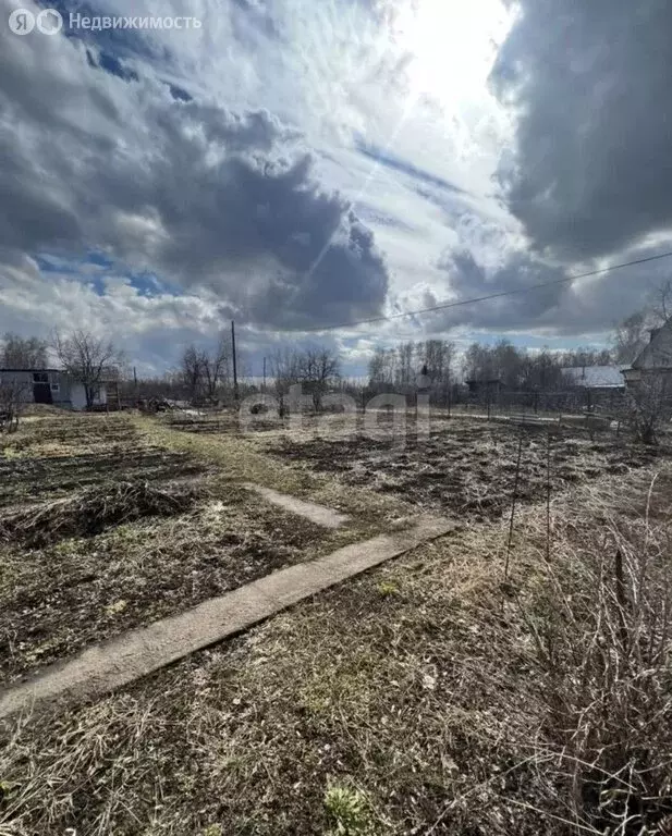 Участок в Берёзовский сельсовет (8 м) - Фото 0