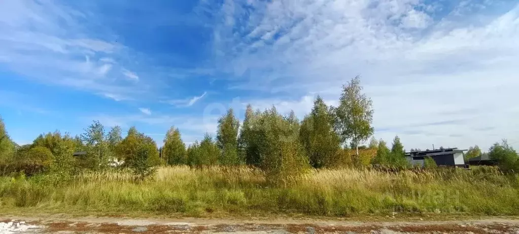 Участок в Тульская область, Тула городской округ, с. Частое ул. ... - Фото 2