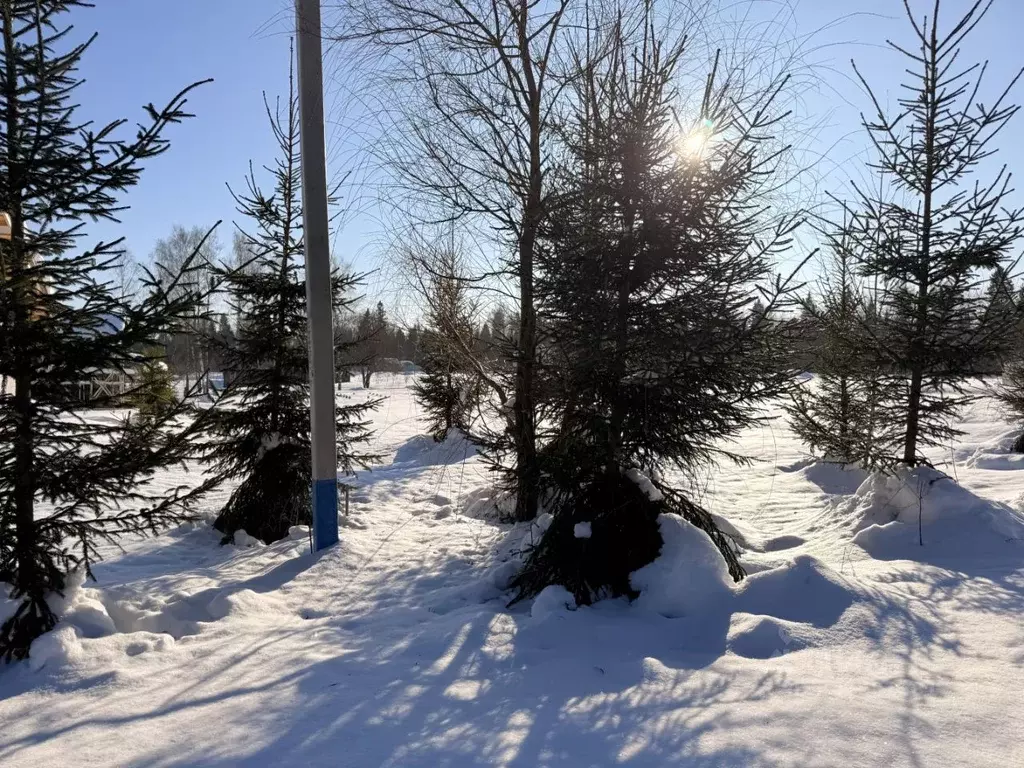 Участок в Московская область, Дмитровский муниципальный округ, ... - Фото 2