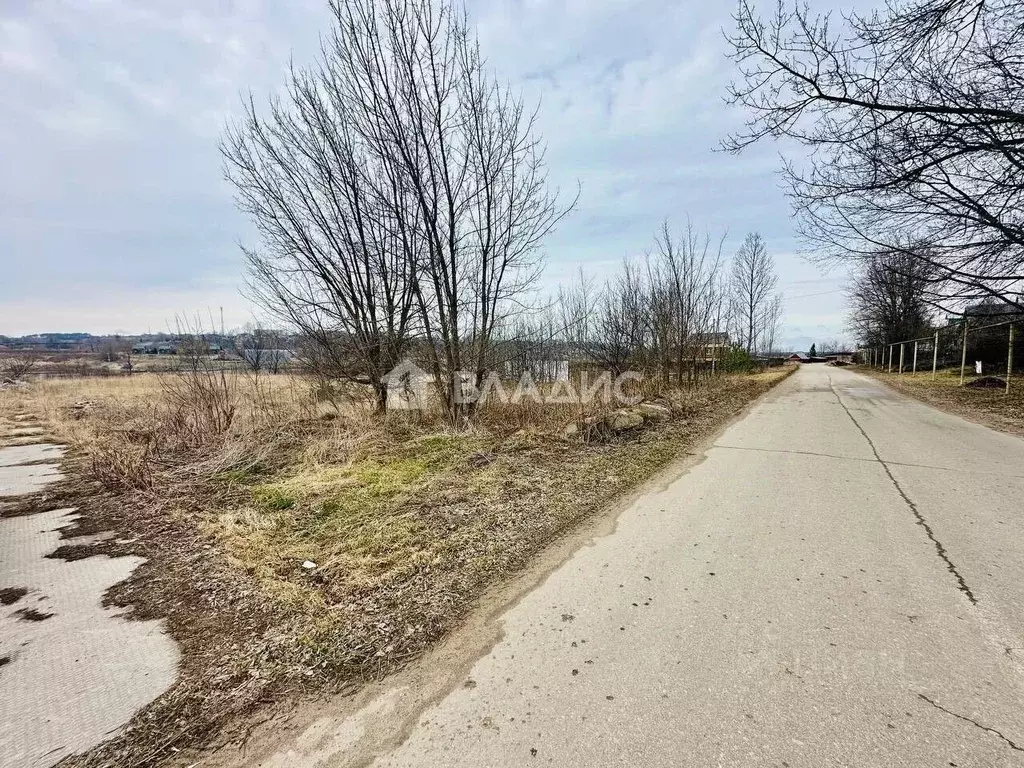 Участок в Нижегородская область, Нижний Новгород д. Чеченино, ул. ... - Фото 2