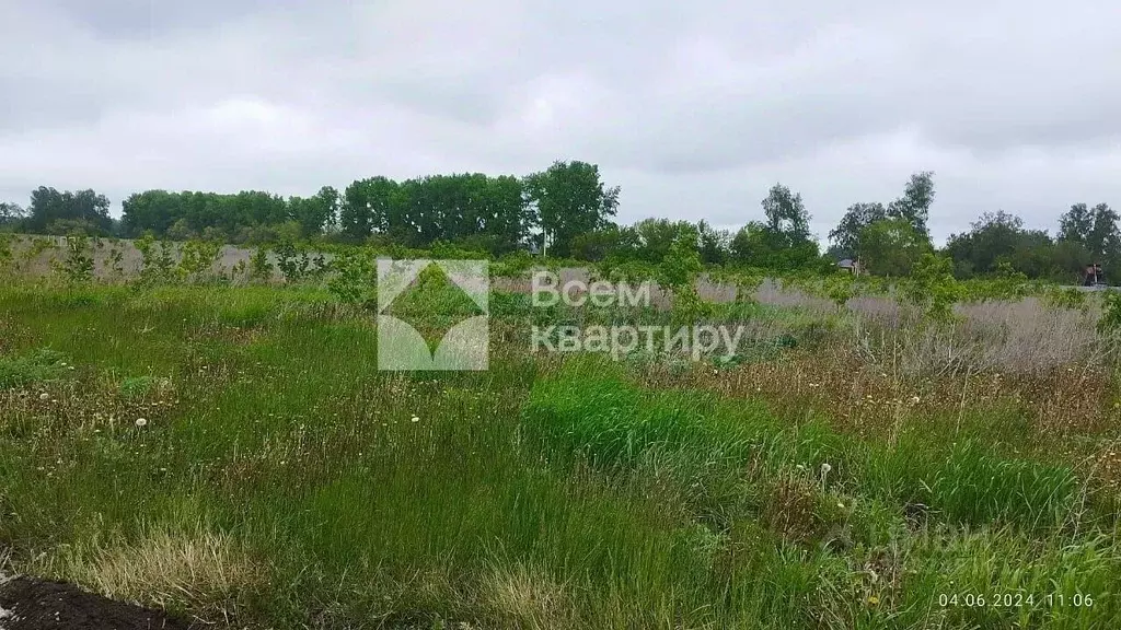 Участок в Новосибирская область, Новосибирский район, Морской ... - Фото 0