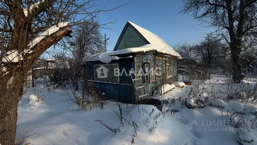 Дом в Брянская область, Брянск ул. Островского (27 м) - Фото 1