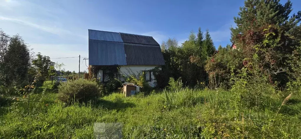 Дом в Московская область, Наро-Фоминский городской округ, Черемушки ... - Фото 1