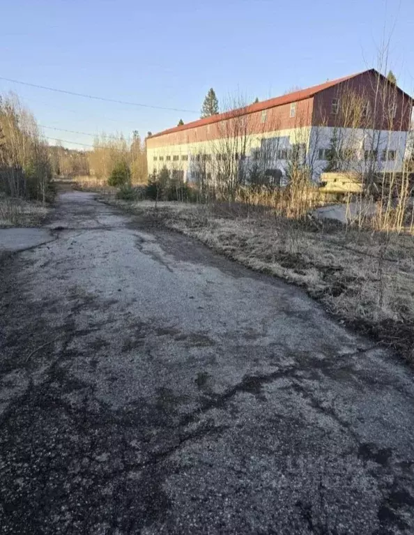 Производственное помещение в Владимирская область, Кольчугино Луговая ... - Фото 1