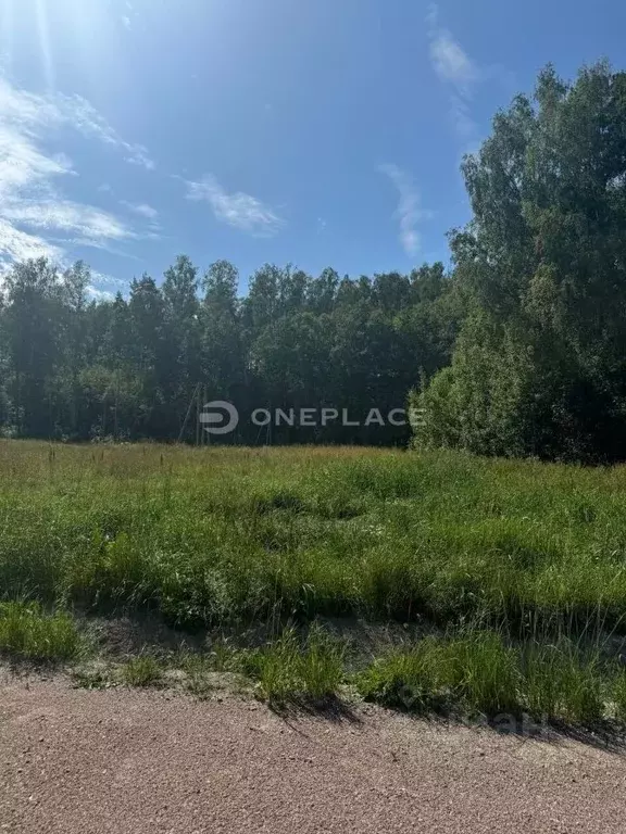 Участок в Ленинградская область, Приозерский район, Мельниковское ... - Фото 1