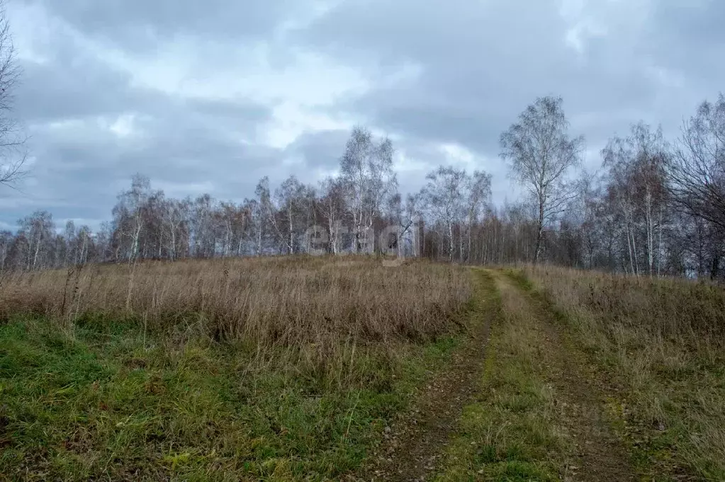 Участок в Кемеровская область, Прокопьевский район, с. Верх-Егос  ... - Фото 1