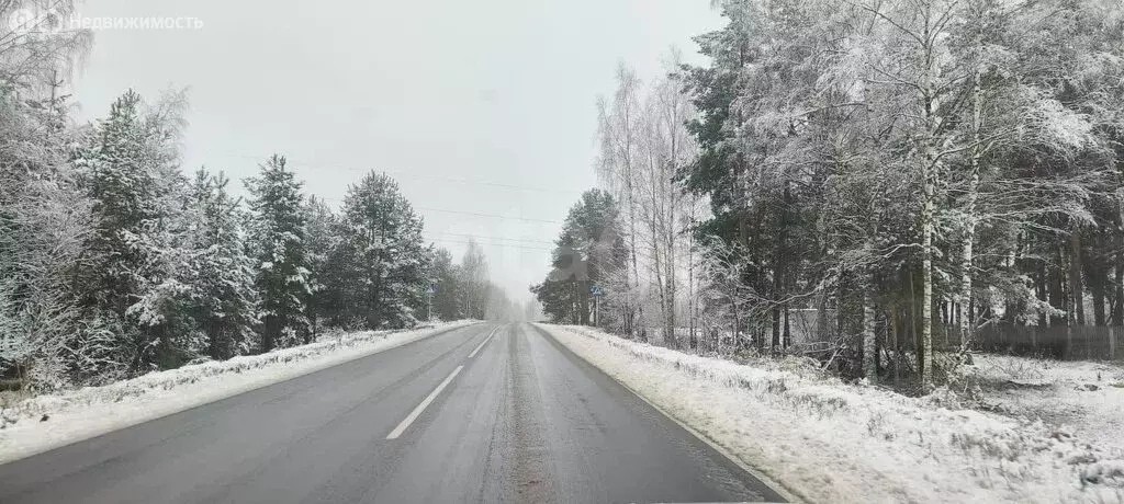 Участок в Владимирская область, городской округ Покров, деревня ... - Фото 2