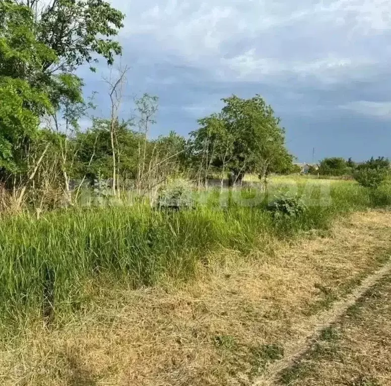 Участок в Ростовская область, Багаевский район, Манычская ст-ца ... - Фото 2