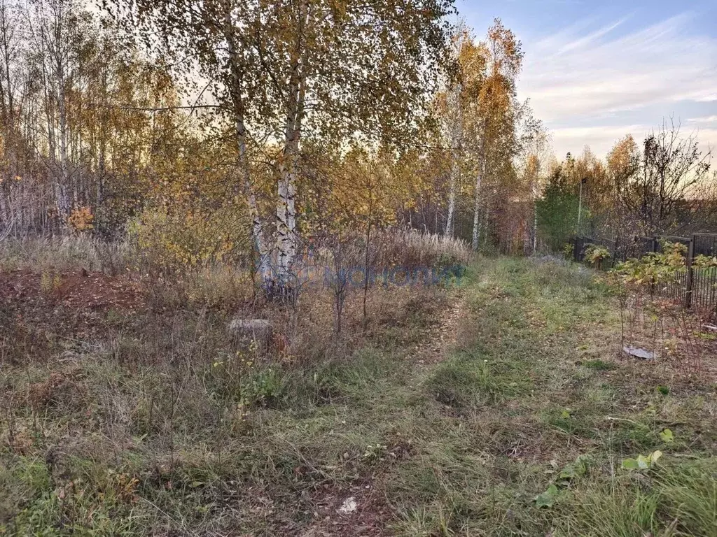 Участок в Нижегородская область, Кстовский муниципальный округ, с. ... - Фото 1