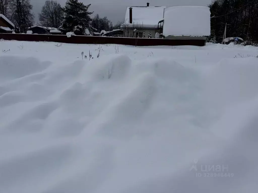 Участок в Московская область, Пушкинский городской округ, д. Алешино ... - Фото 1
