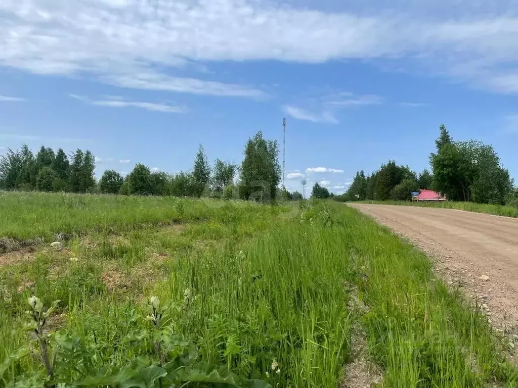 Участок в Вологодская область, Шекснинский район, Ершовское с/пос, д. ... - Фото 0