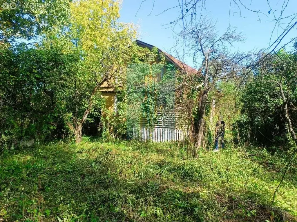 Дом в Богородский городской округ, СНТ Радист (50 м) - Фото 1