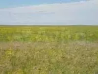 Участок 9 га (СНТ, ДНП) - Фото 0
