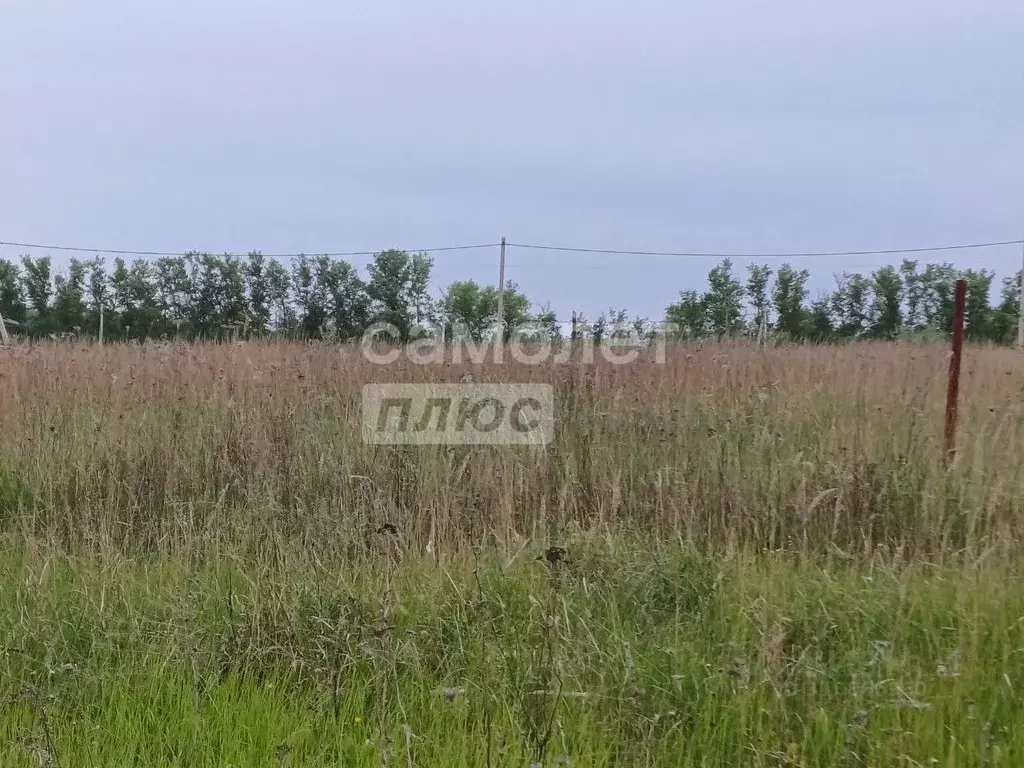 Участок в Курская область, Курск  (10.0 сот.) - Фото 1
