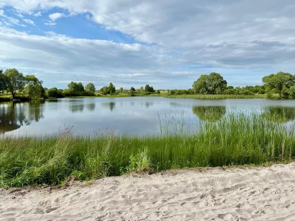 Участок в Московская область, Ступино городской округ, пос. Новое ... - Фото 2
