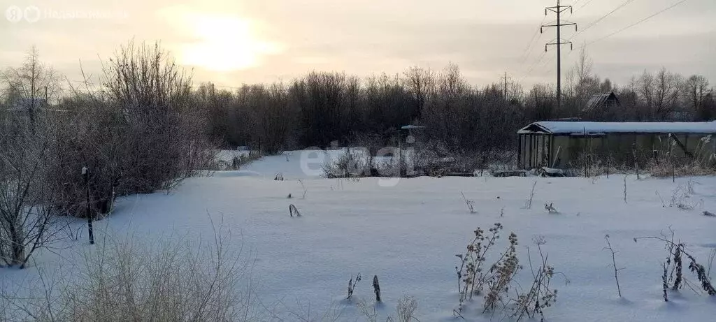 Участок в Тобольск, садоводческое товарищество Дружба (8.4 м) - Фото 0