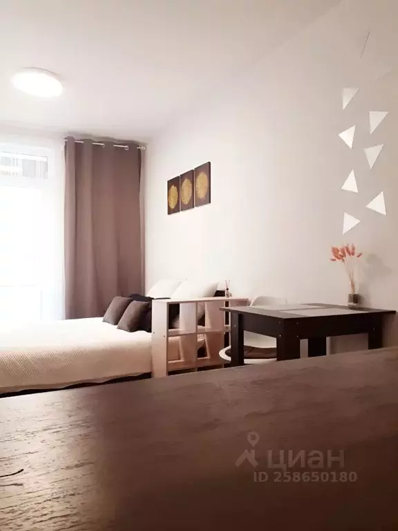 Студия Санкт-Петербург ул. Летчика Лихолетова, 14к2 (25.0 м) - Фото 1