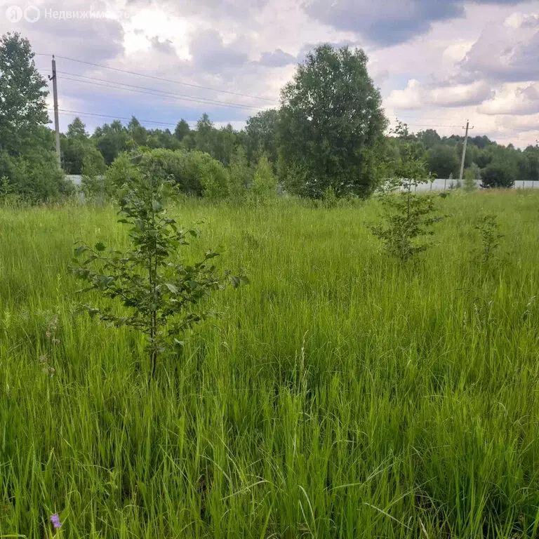 Участок в Московская область, городской округ Серпухов, СНТ ... - Фото 1