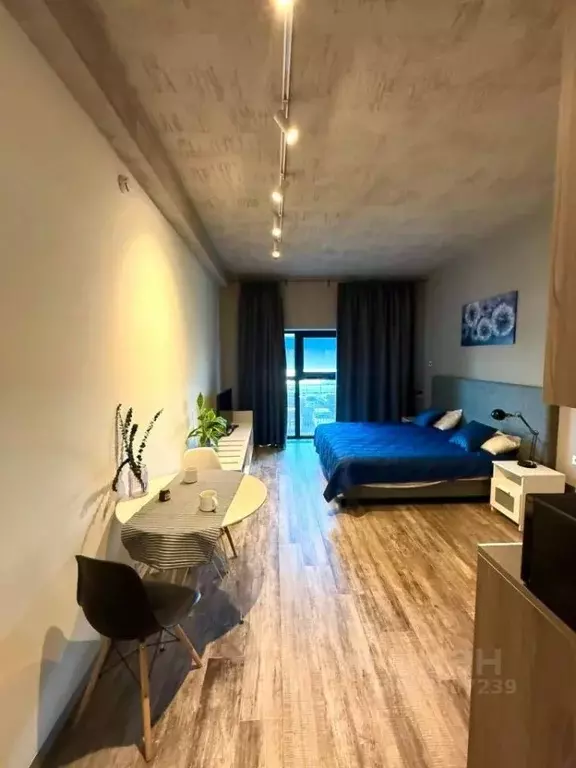 Студия Санкт-Петербург наб. Макарова, 60 (33.0 м) - Фото 1