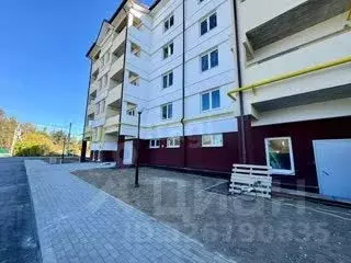 1-к кв. Владимирская область, Покров ул. 3-го Интернационала, 87к1 ... - Фото 1